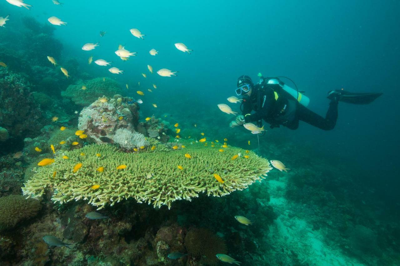 Magic Oceans Dive Resort Anda  Exteriér fotografie
